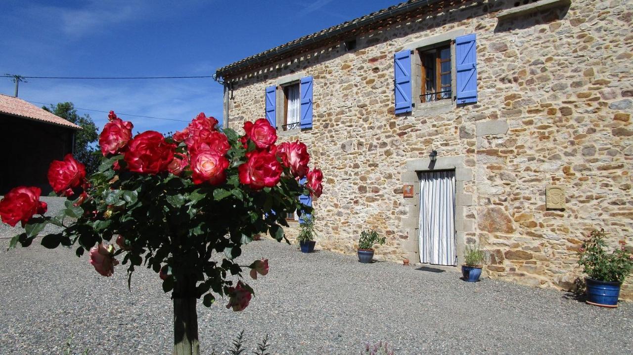Gîtes&Chambres d'hôtes Peyrecout Laparrouquial Exterior foto